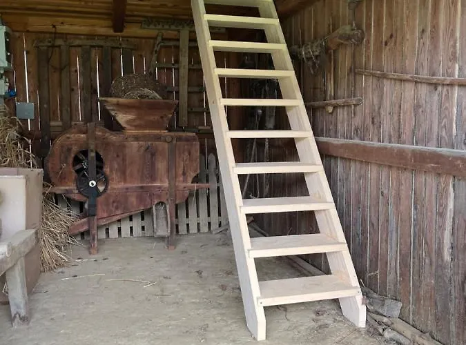 Hrgova Hiska פטוי